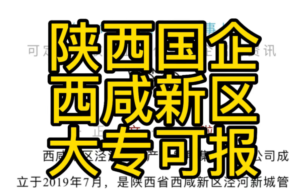 西咸新区泾河新城产业发展集团有限公司下属子公司招聘公告哔哩哔哩bilibili