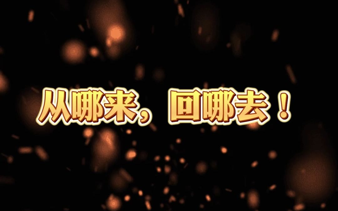 从哪来,回哪去!哔哩哔哩bilibili