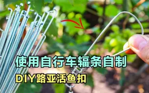 下载视频: 一款使用自行车辐条自制路亚活鱼扣的教程分享