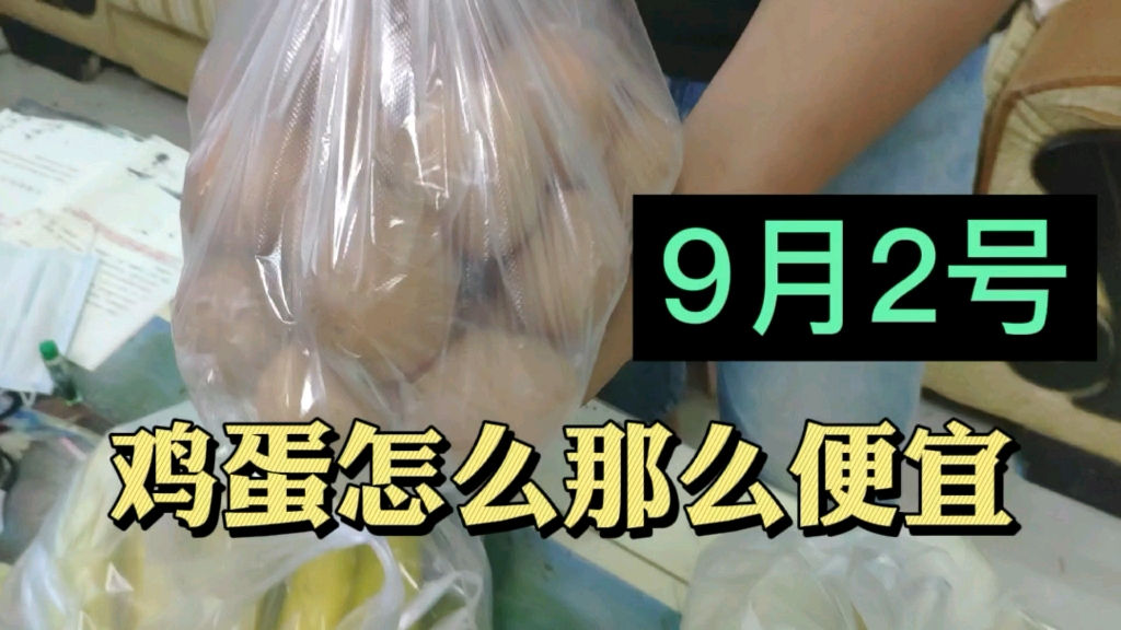 河南商丘这边的鸡蛋好便宜,您那里什么价格?哔哩哔哩bilibili