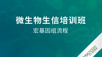 宏基因组流程