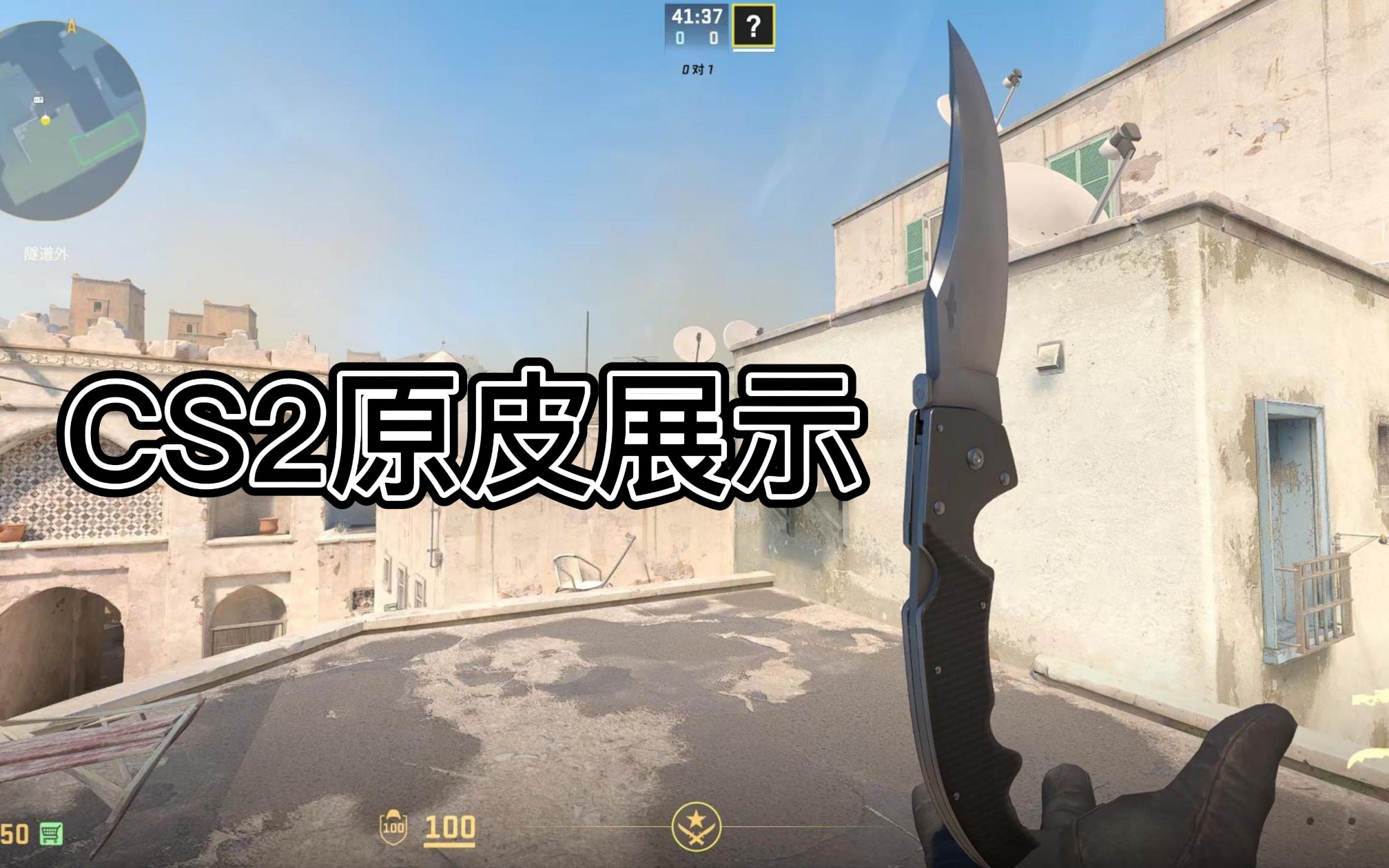 csgo原皮贴纸方案图片