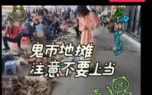 Download Video: 鬼市地摊淘宝这几个规矩要知道可哥捡漏不少好东西，欣赏一下