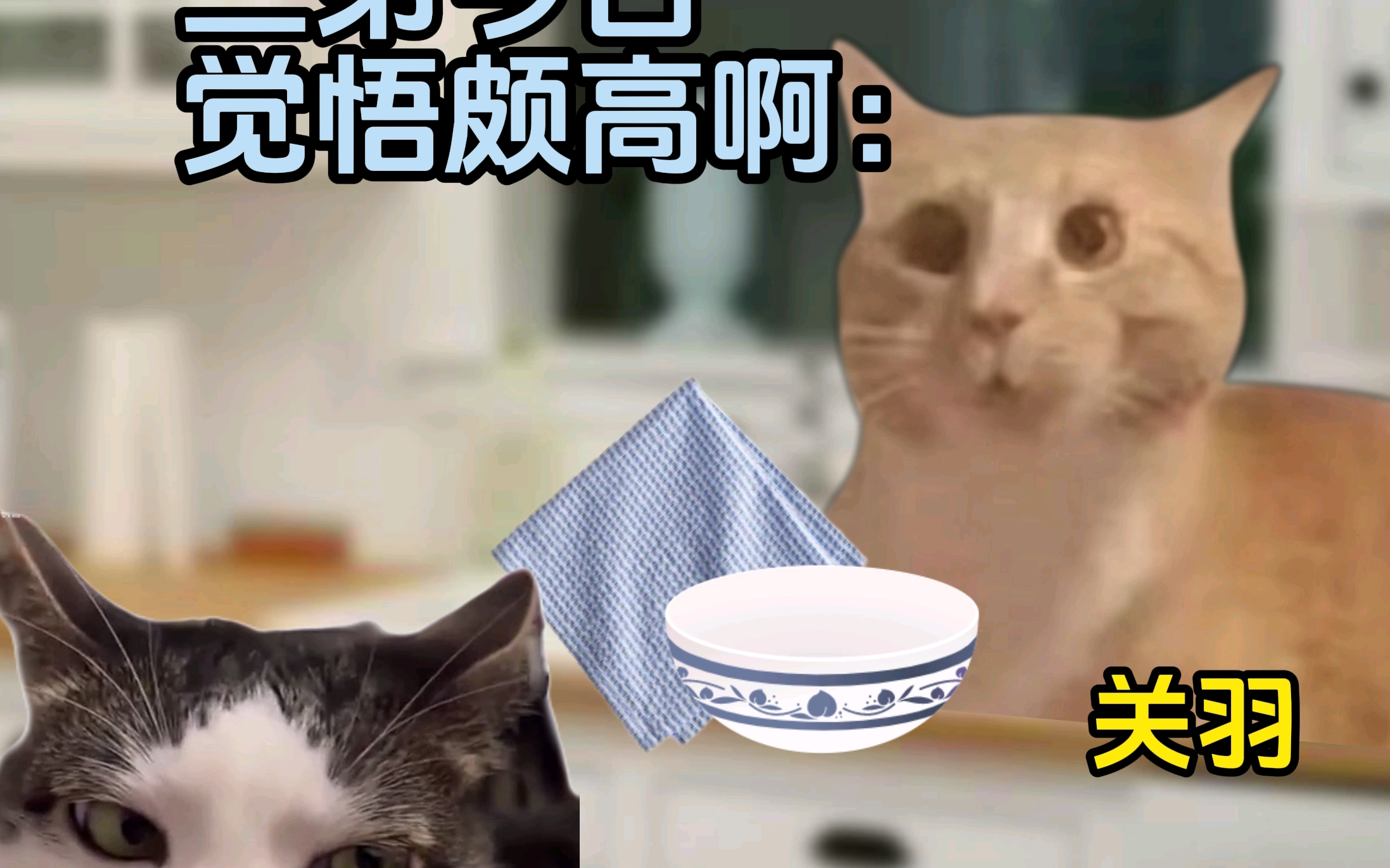 关羽张飞给刘备庆生时#穿越现代#meme#搞笑#猫咪的迷惑行为哔哩哔哩bilibili