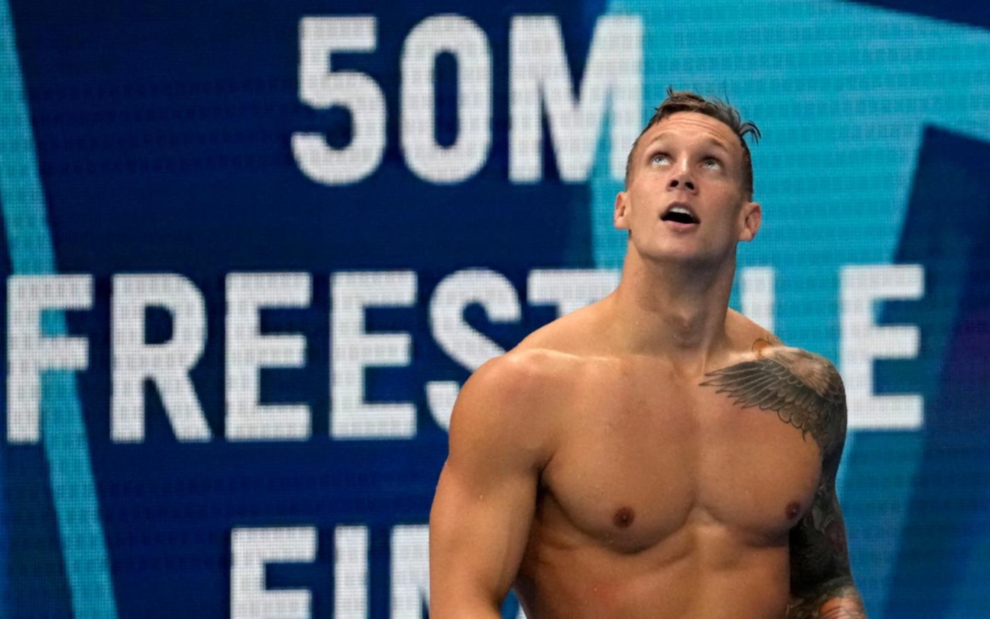 美貌与实力并存,新一代飞鱼德雷塞尔 Caeleb Dressel 人物志哔哩哔哩bilibili