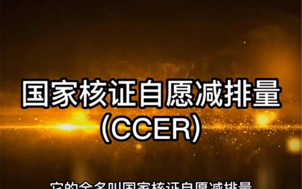 ccer到底是什么哔哩哔哩bilibili