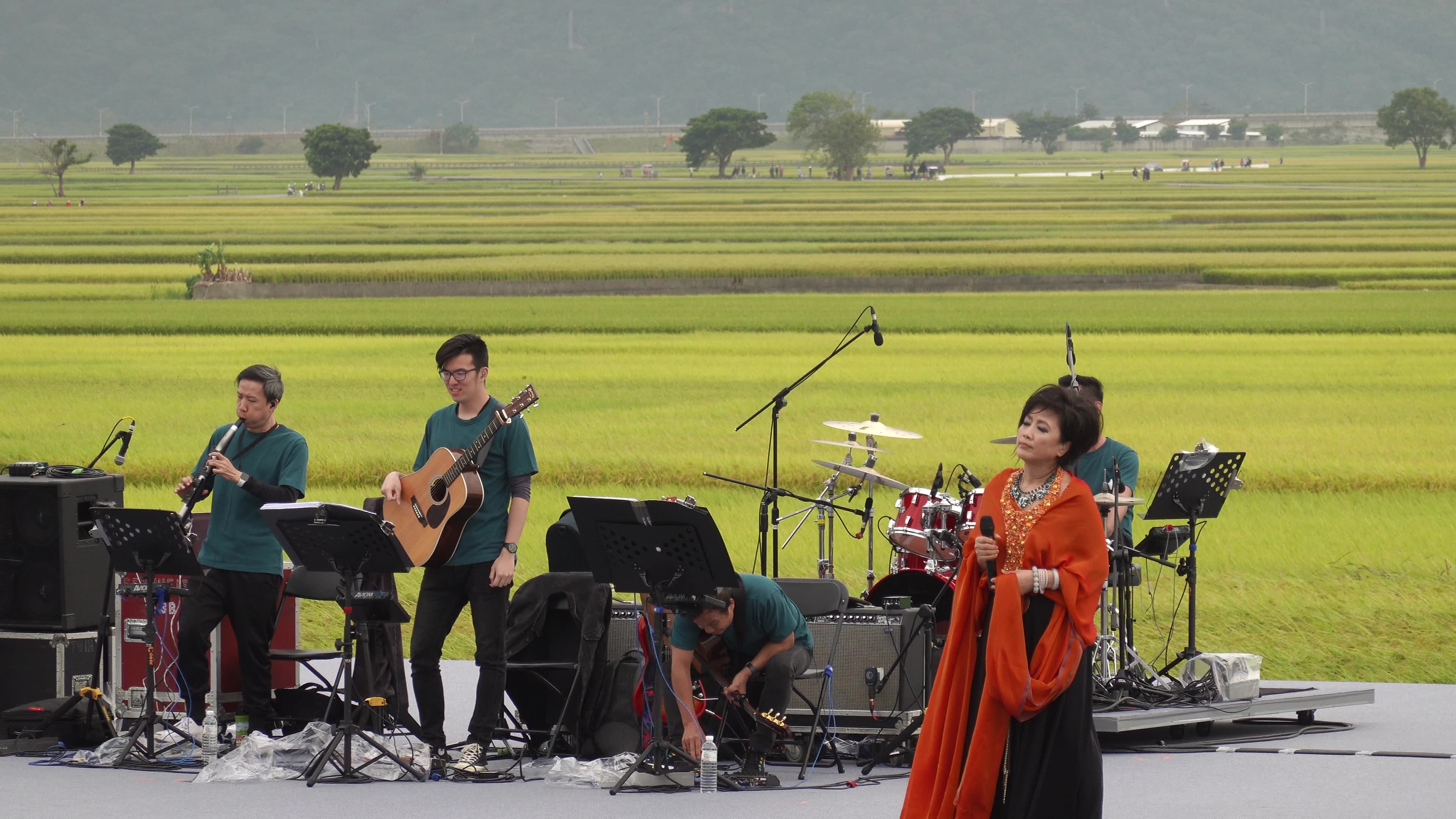 [图]2019年10月25日池上秋收稻穗艺术节 走在雨中