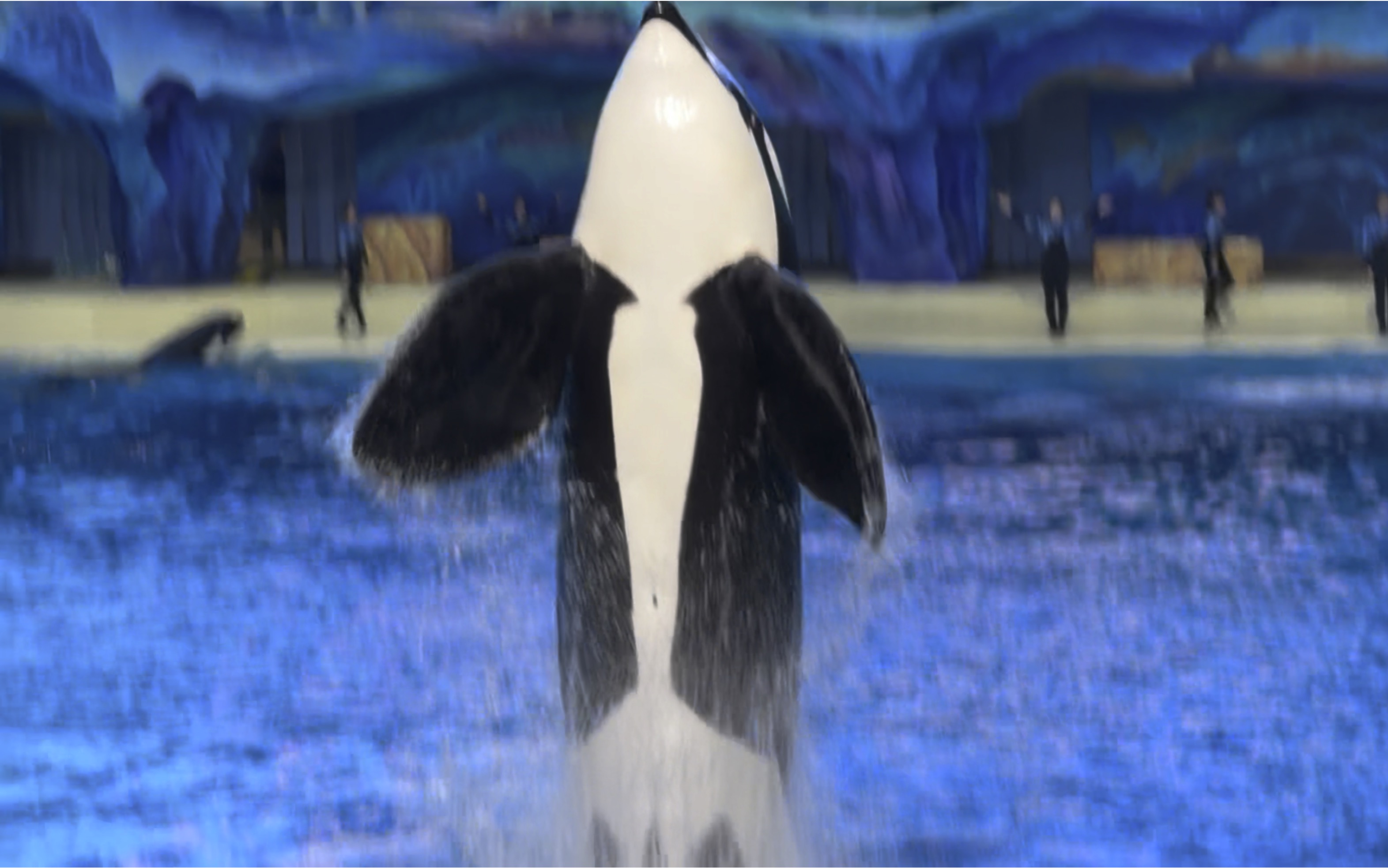 长隆宇宙飞船 虎鲸剧场