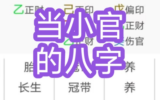 当小官的八字哔哩哔哩bilibili