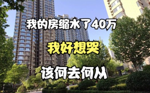 借了两代人全部积蓄买房,一年时间就缩水快40万,真想锤自己两拳哔哩哔哩bilibili