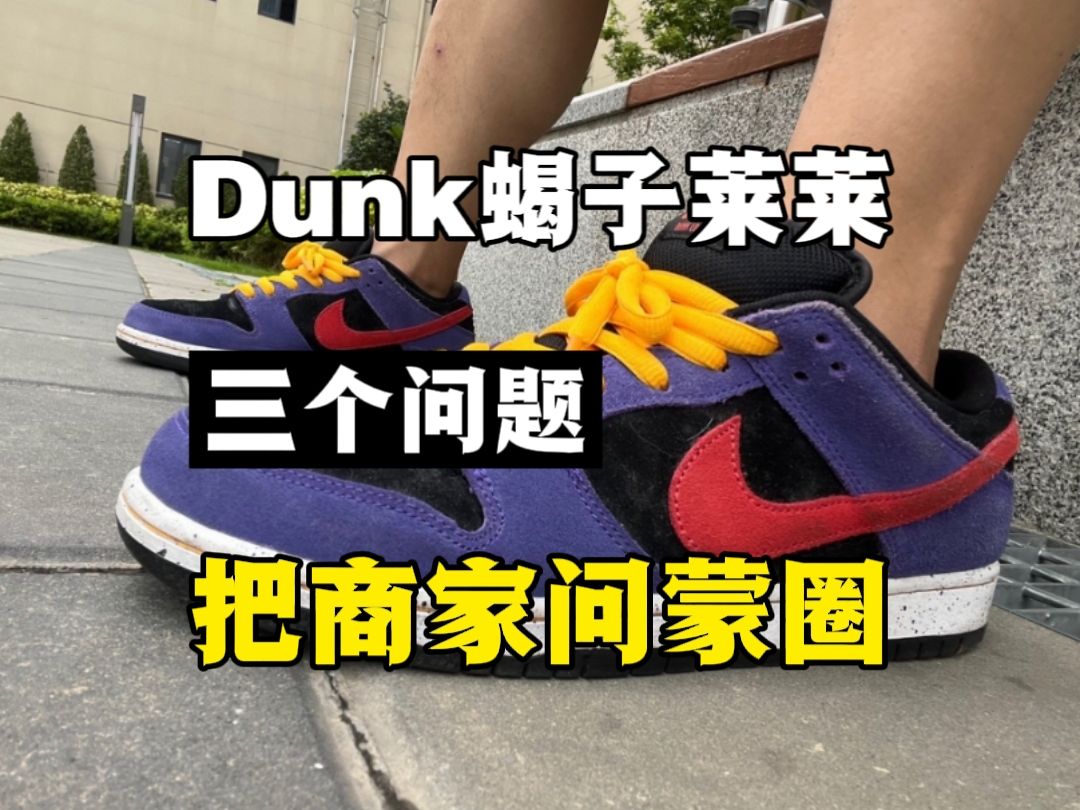 入手dunk蝎子莱莱这么问,直接给商家问蒙圈!