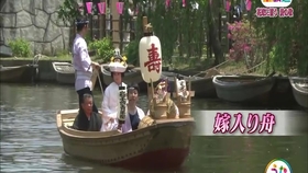 1977年大晦日 花村菊江潮来花嫁さん 哔哩哔哩 つロ干杯 Bilibili 1977年大晦日 花村菊江潮来花嫁さん 哔哩哔哩 つロ干杯 Bilibili