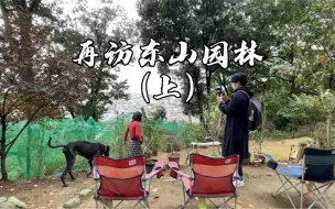 Download Video: 没有白走的路，无心插柳都会水到渠成。