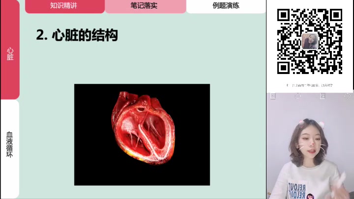 [图]心脏与血液循环（超慢超详细讲解，不信你听不懂版本）