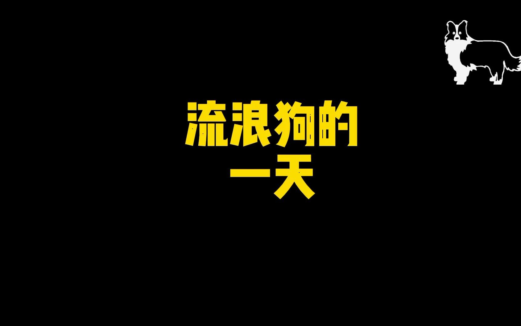 【流浪狗的一天】看完视频心都碎了,请永远不要抛弃你的狗狗!哔哩哔哩bilibili