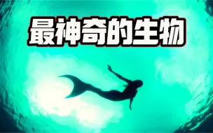 Descargar video: 「人鱼的真相」一个不能说的终极秘密！