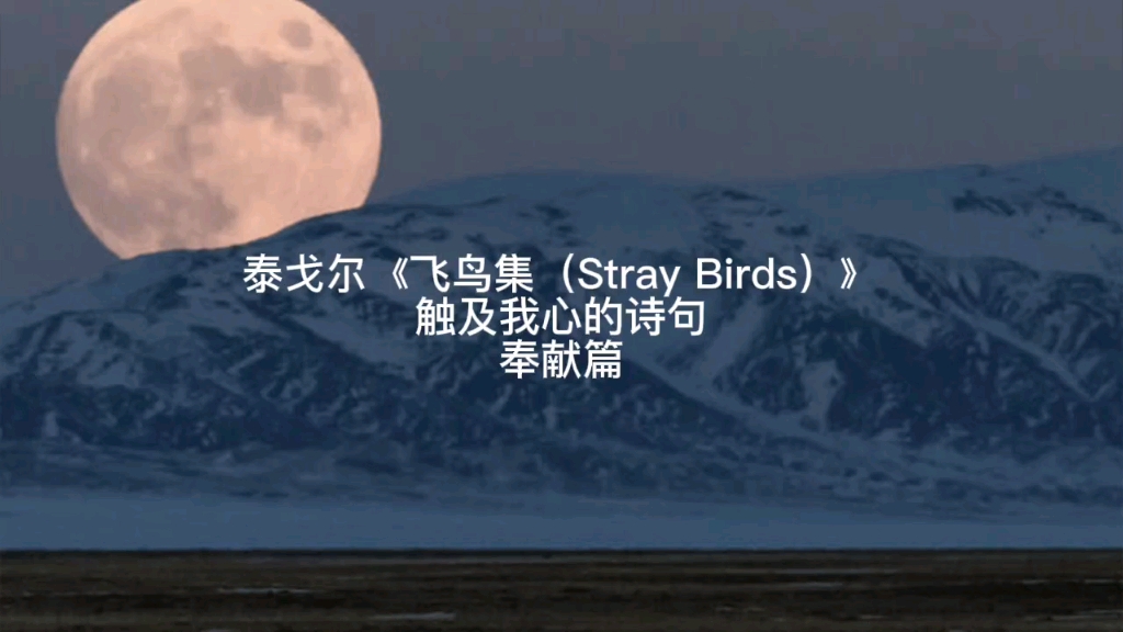 泰戈尔《飞鸟集(Stray Birds)》诗句摘录奉献篇【写作可用】【值得咀嚼】哔哩哔哩bilibili