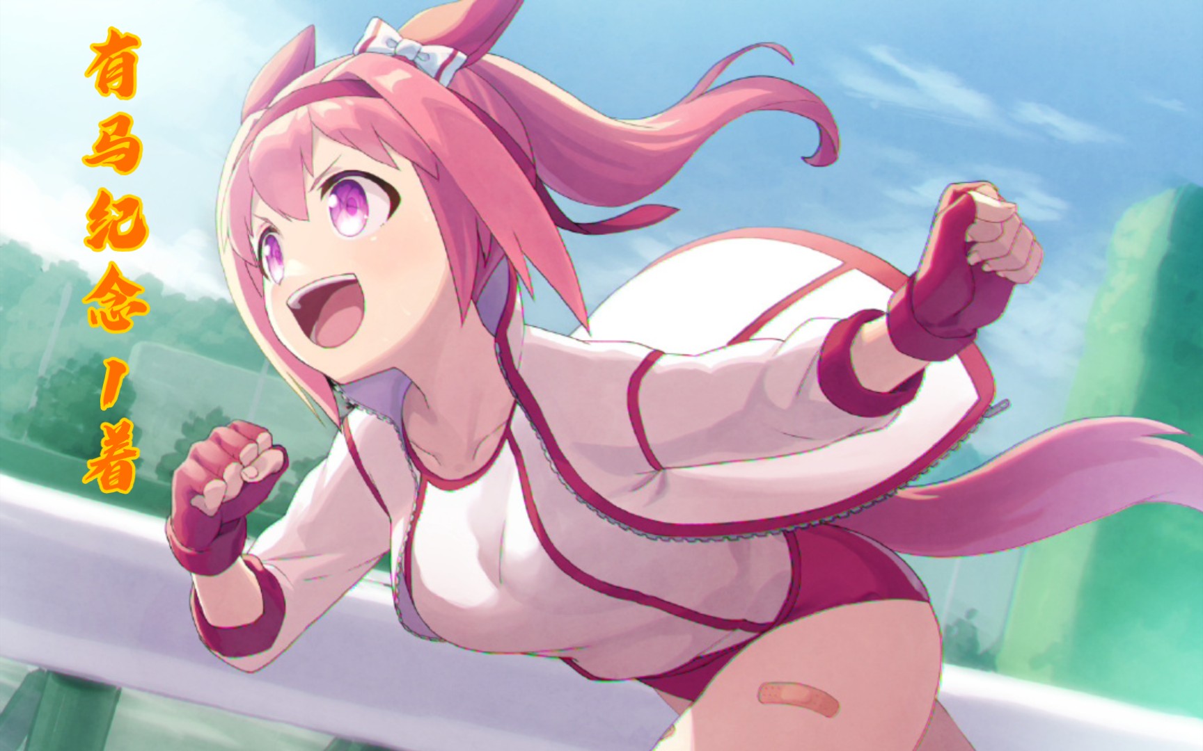 [赛马娘]乌拉拉 有马纪念第一!