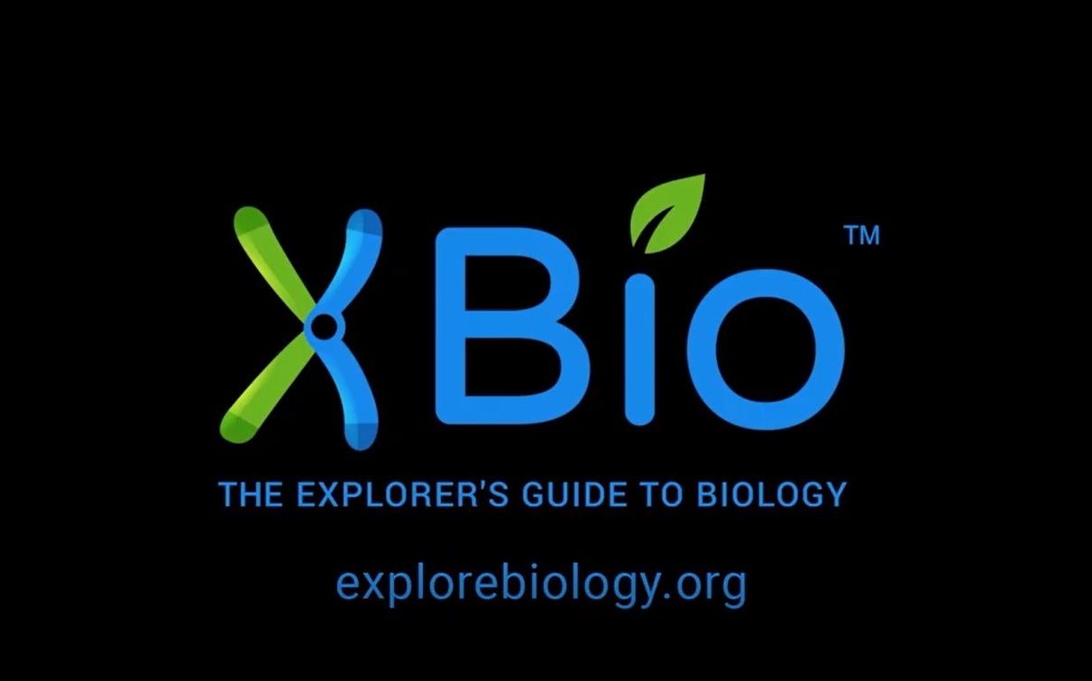 [图]【XBio】<最佳免费生物教材>超良心网站！一边当侦探一边学生物