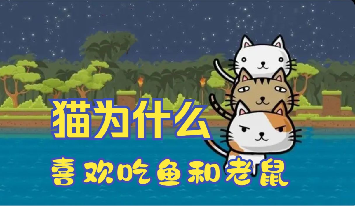 猫为什么喜欢吃鱼和老鼠