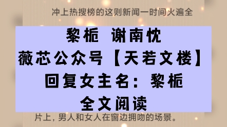 《黎栀谢南忱》小说全章节完整阅读《黎栀谢南忱》大结局txt限时限免哔哩哔哩bilibili