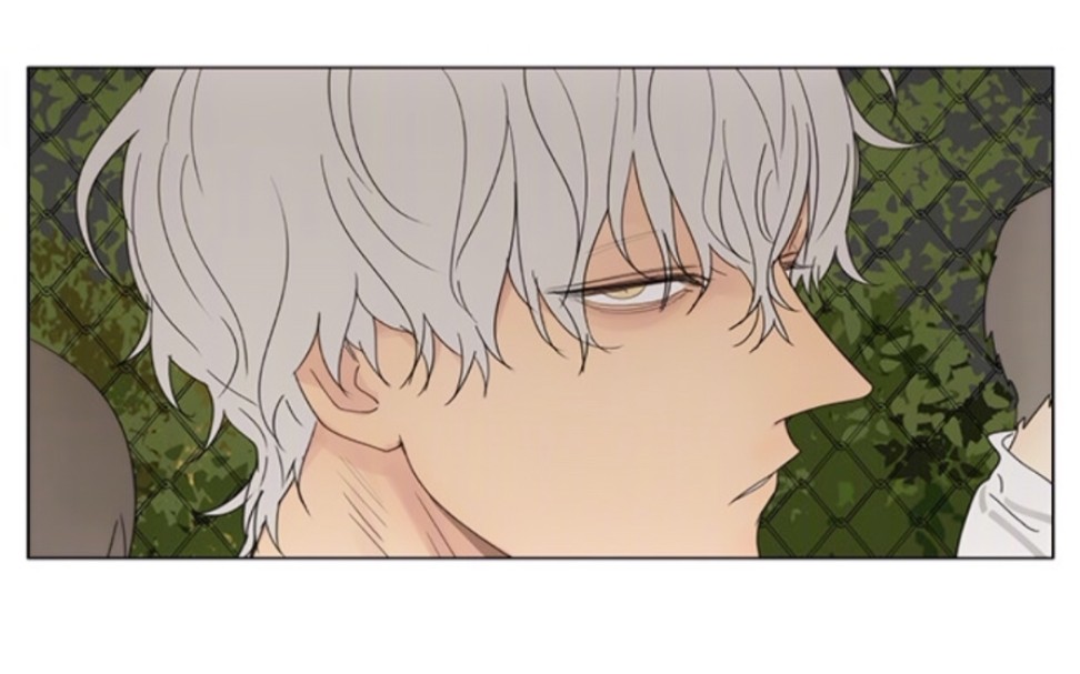 19天蛇立篇献给我为数不多的20几个粉丝