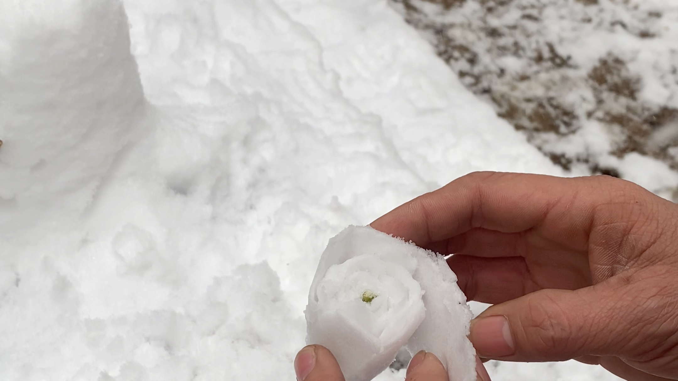 南方也可以做雪玫瑰了,不用在羡慕北方的小伙伴了#冬天的第一朵雪玫瑰 #公主请看超美的雪花 #南方下雪了哔哩哔哩bilibili