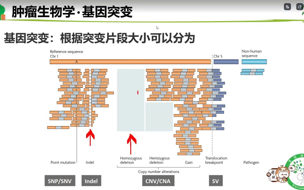 综述可以当论著发表,文献计量学专题会医学会员免费学哔哩哔哩bilibili