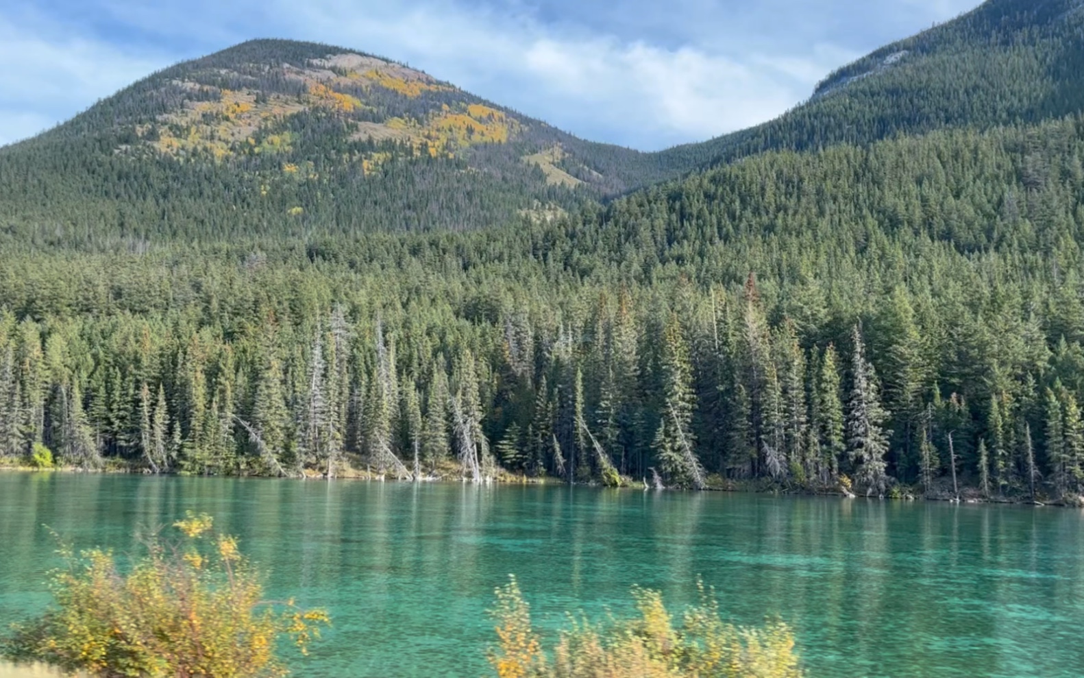 美国密歇根大学安娜堡分校音乐教育哲学博士概述:音乐教育哲学博士