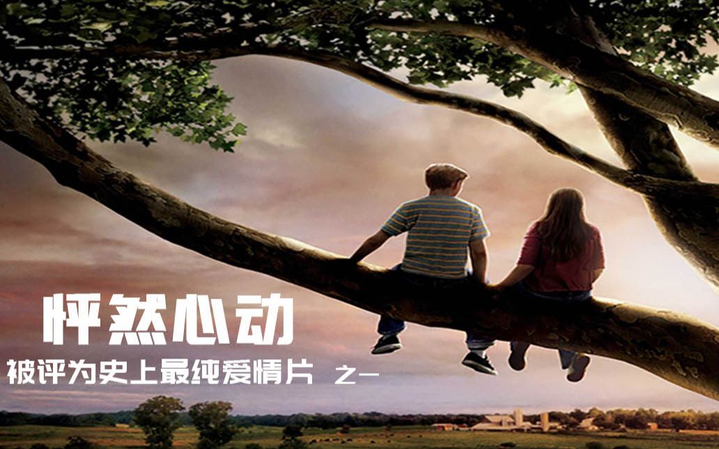 1分,评为史上最纯爱情片之一,看完让你找回恋爱的小悸动,温暖,小清新