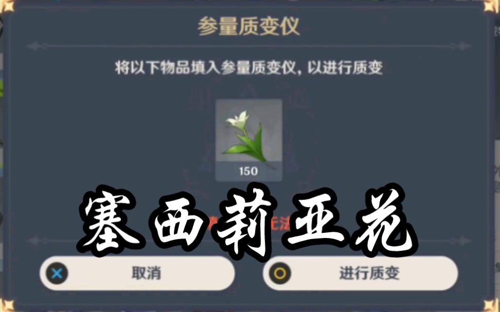 「原神」参变质量仪|150塞西莉亚花花
