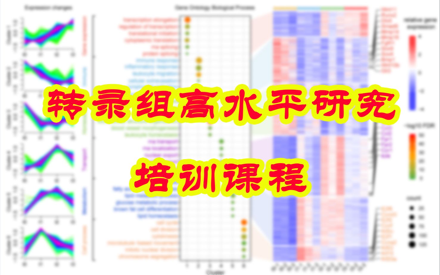 circRNA新机制6手把手教你将测序文章提高到45分以上哔哩哔哩bilibili