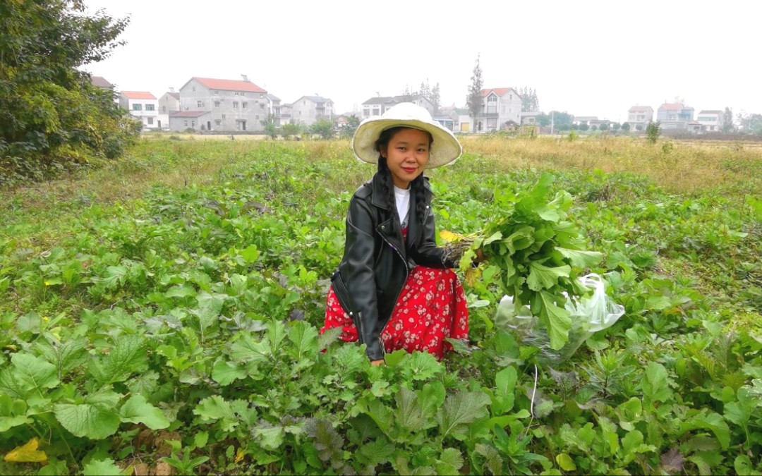 农村的野油菜长得满地都是,绿油油的没人要,媳妇薅了3大袋回家哔哩哔哩bilibili