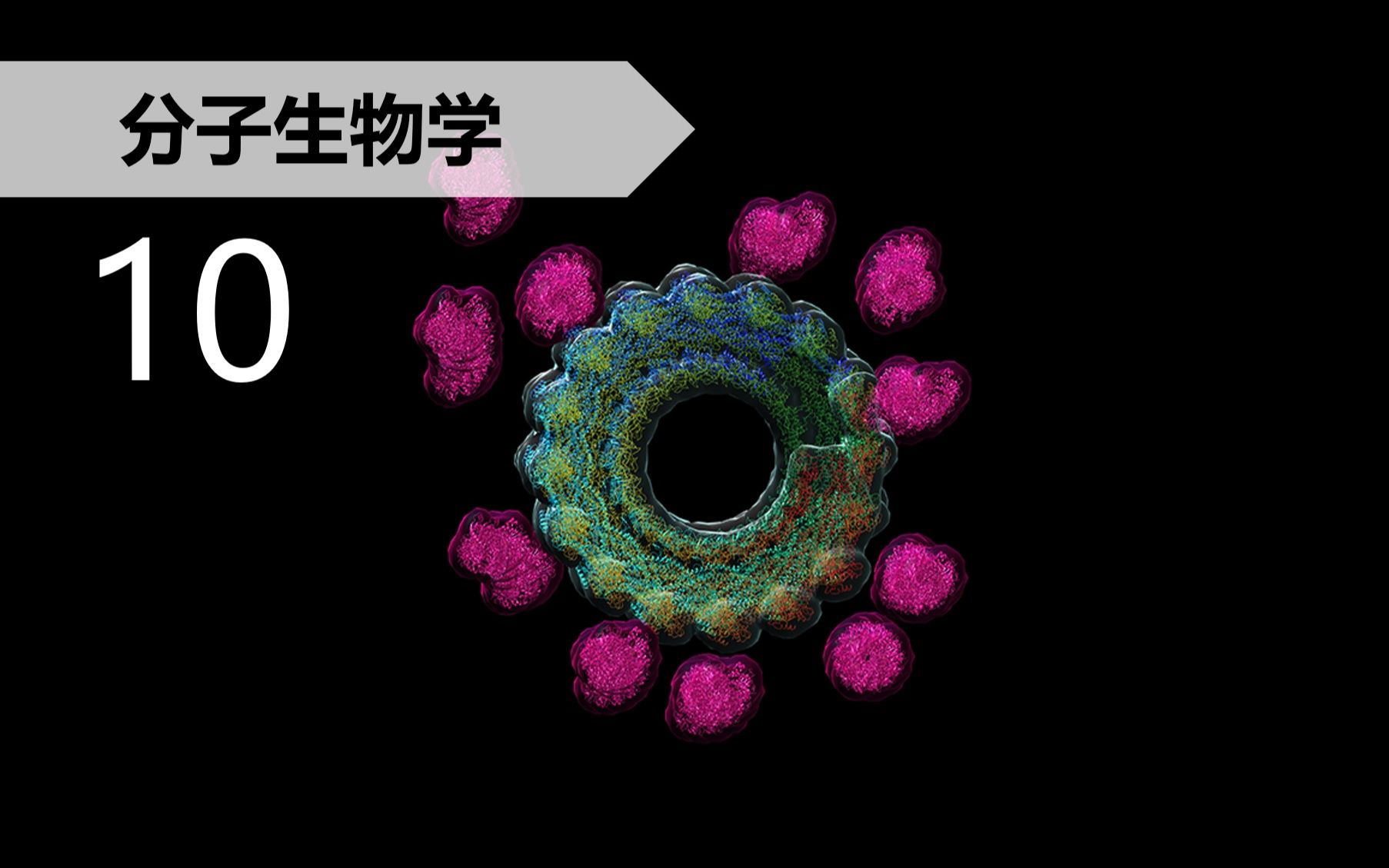 【分子生物学】10.3 组蛋白DNA相互作用哔哩哔哩bilibili