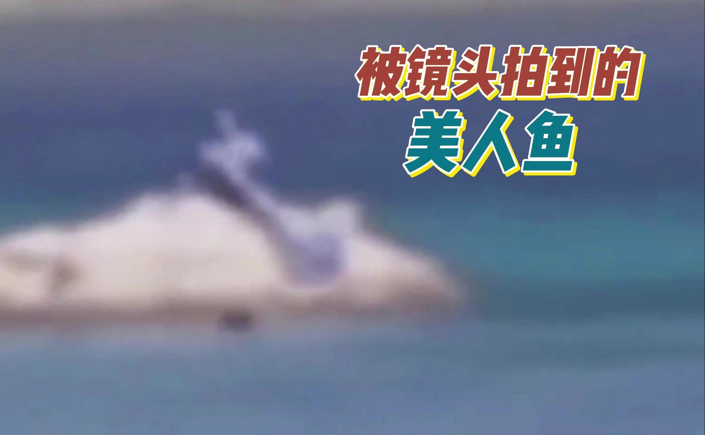 10个被镜头拍到的美人鱼,海滩上的粉色人鱼?(一)