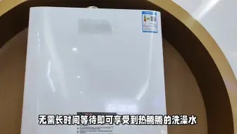 揭秘东芝16升大白梨TL8热水器：高效燃气，节能又省心！