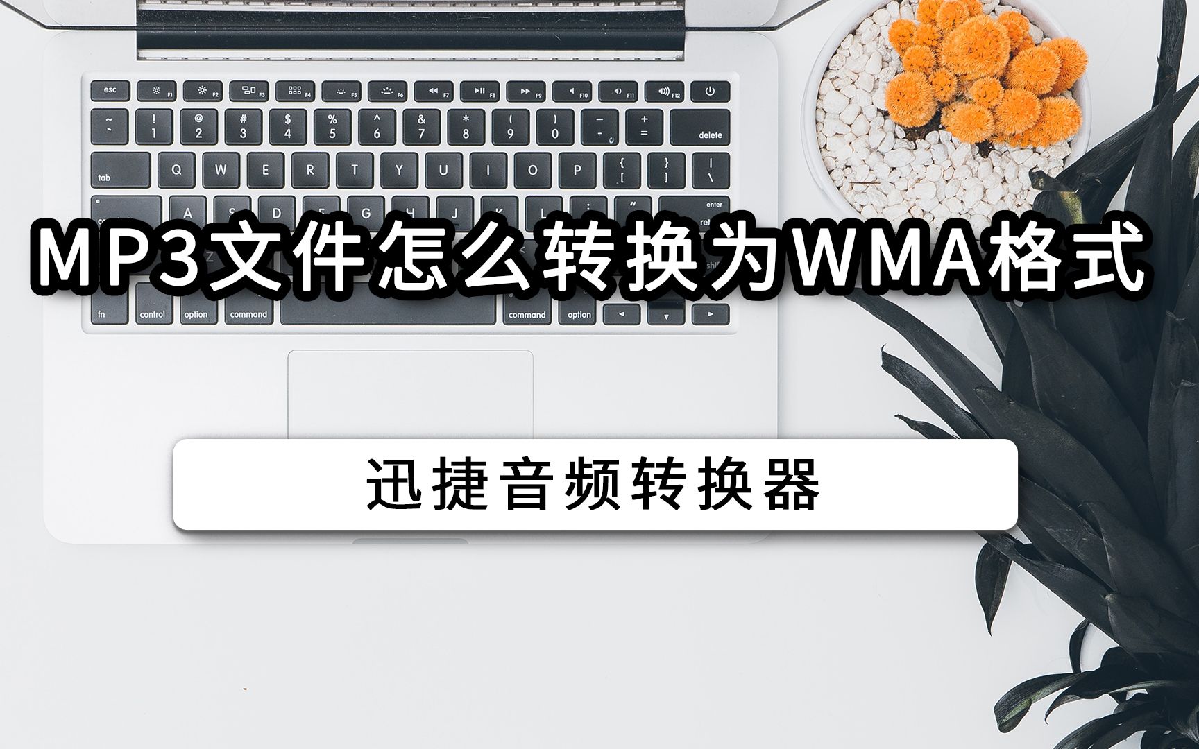 MP3文件怎么转换为WMA格式哔哩哔哩bilibili