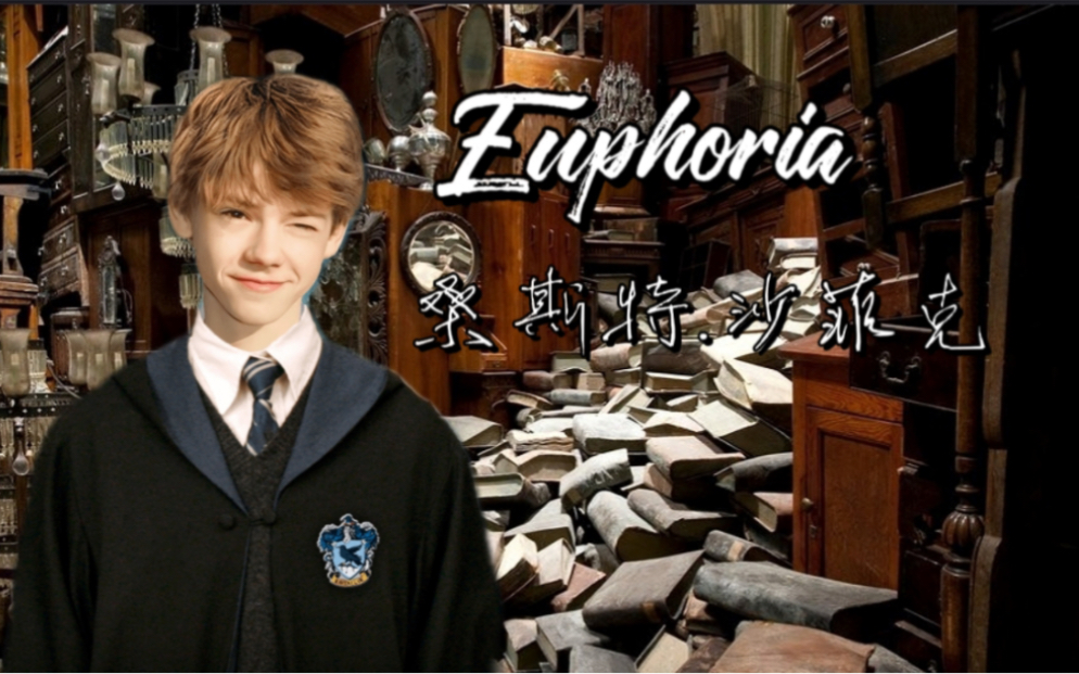 【hp/Euphoria桑斯特ⷮŠ沙菲克】如果你迷路了,我会来接你回家哔哩哔哩bilibili