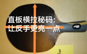 Скачать видео: 直板横拉秘码:让反手更亮一点,做到这个才算学会握板