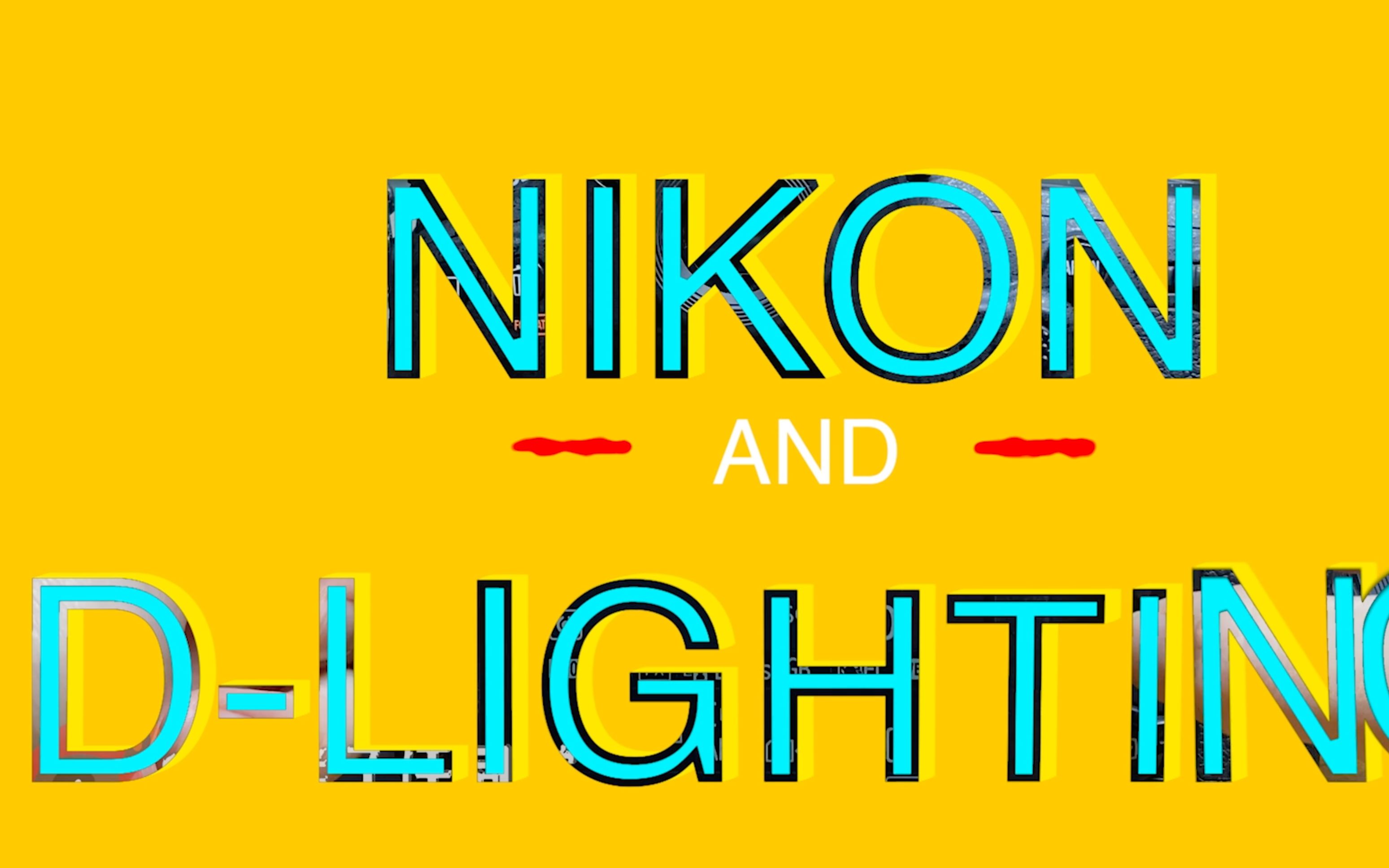 【NIKON说明书解读】尼康相机的Dlighting与HDR使用技巧 演示机器D850哔哩哔哩bilibili