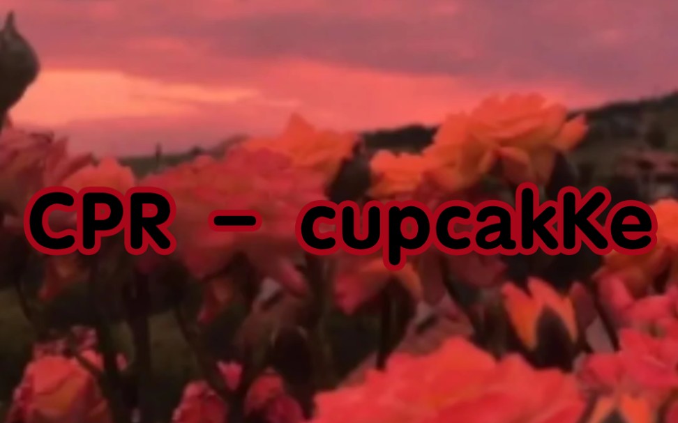 CPR  cupcakKe(slowed, reverb, bassboosted)哔哩哔哩bilibili