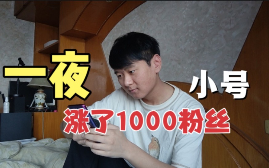 哲子做了一个小号,一夜就涨了1000粉丝,大号都涨不了哔哩哔哩bilibili