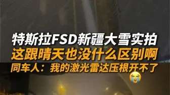 特斯拉FSD新疆大雪实拍