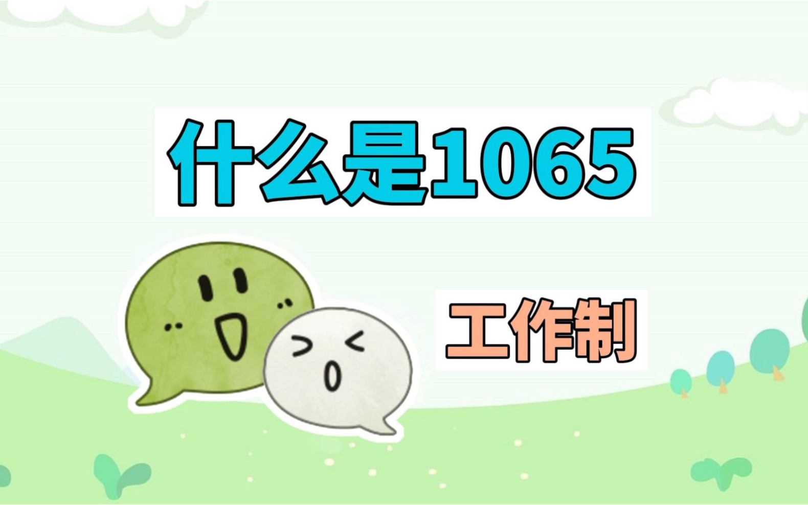 什么是1065工作制?哔哩哔哩bilibili