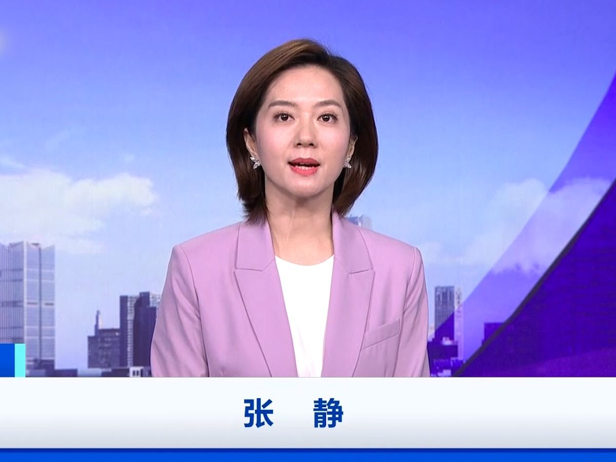 财经频道主持人张静出生年月(央视财经频道女主持 张静年龄)