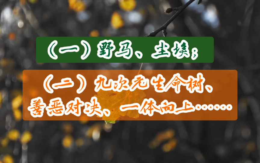 野马、尘埃;九次元生命树、善恶对决、一体向上……哔哩哔哩bilibili