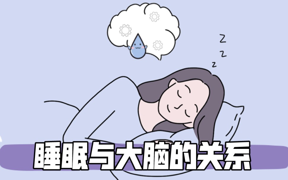 脑科学丨如何拥有高质量睡眠?这3招你一定要知道!哔哩哔哩bilibili