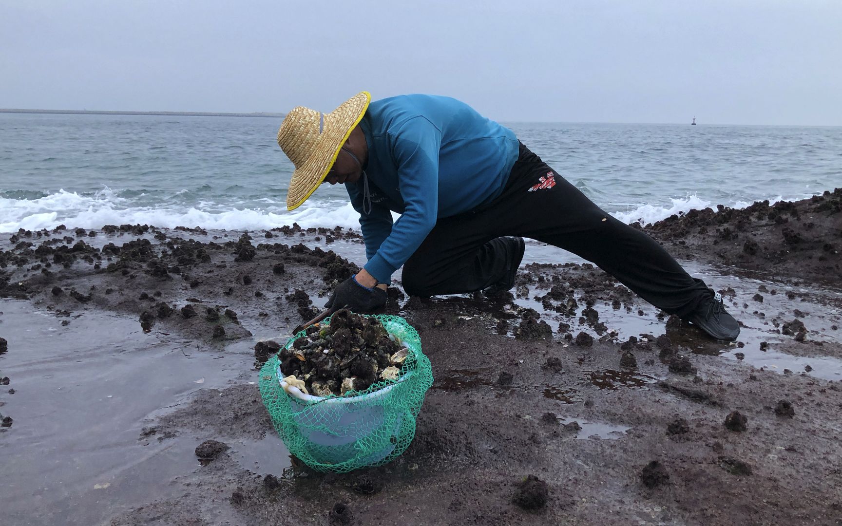 闲牛拿小铲铁锤冒着大风大浪去赶海说要寻找来自地狱的美食爽