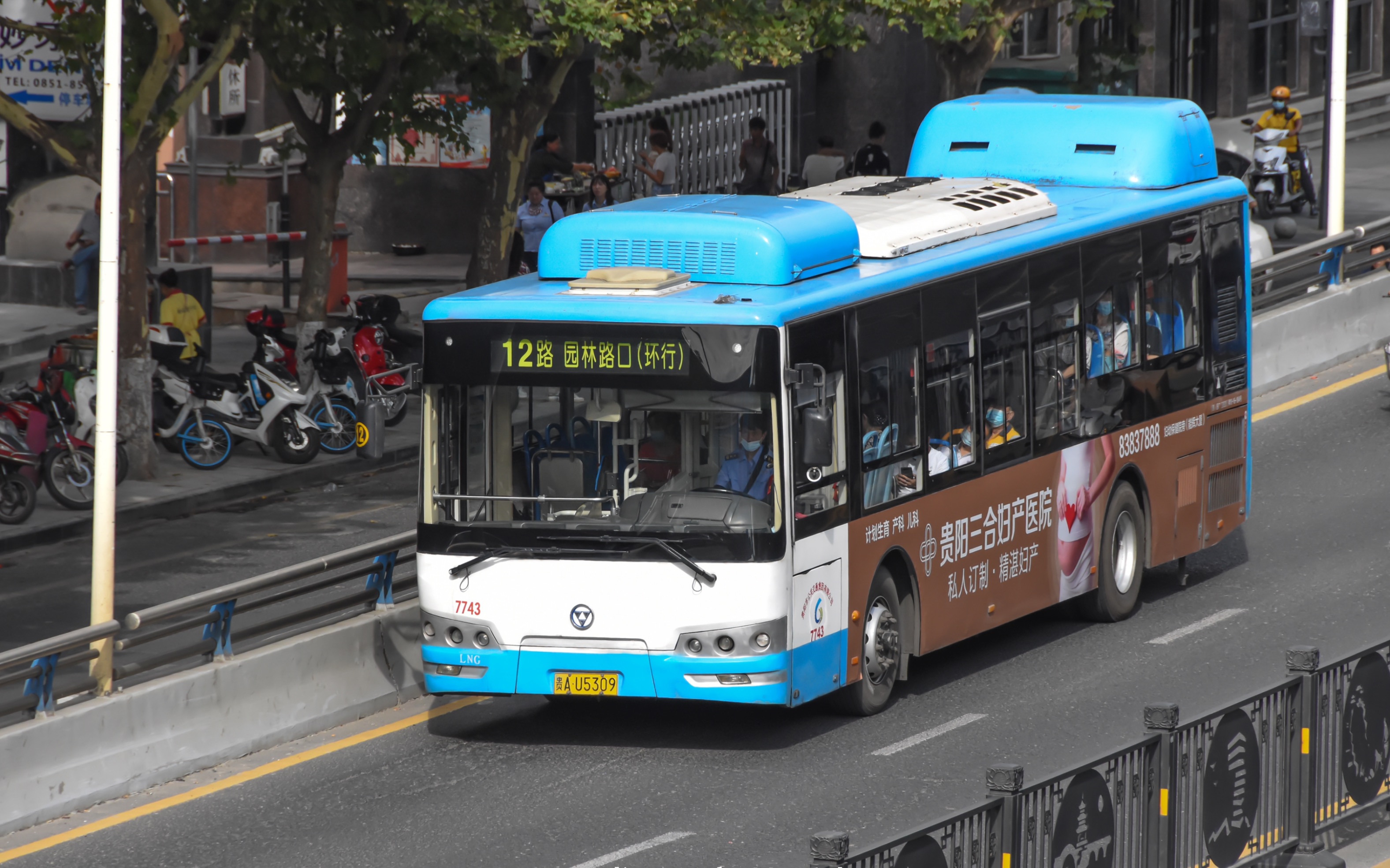 【云运转·贵阳公交】常见混动车型 贵阳公交奇瑞万达wd6115ehev(一批