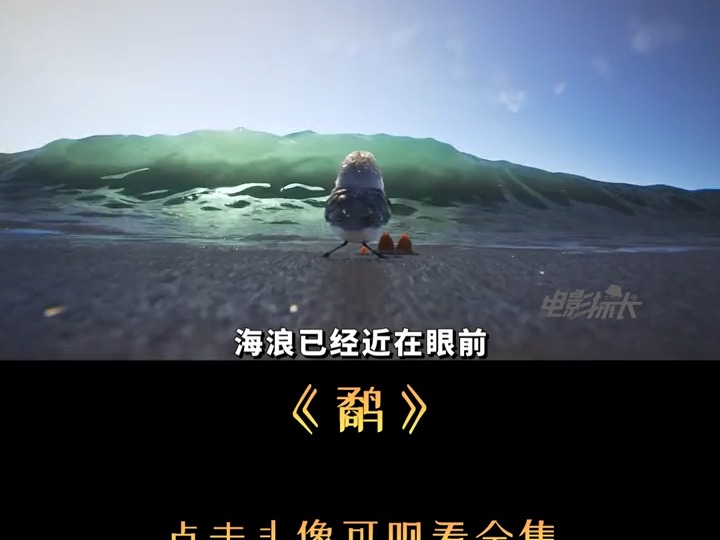 生活明朗,万物可爱,人间值得,未来可期 #鹬哔哩哔哩bilibili